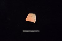 藏品(陶片)的圖片